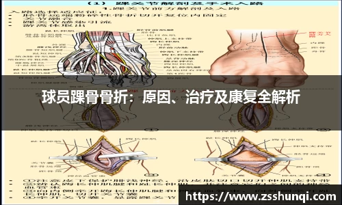 杏耀_杏耀娱乐登录_杏耀注册代理平台官网