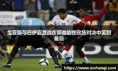 mk体育官方网站